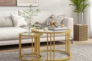 Round Coffee Tables Set of 2, Nesting Tables with Tempered Glass Top and Steel Frame, 60cmx60cmx47cm, Gold Tone