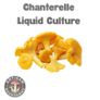 Gourmet Mushroom Cultures - 25+ Varieties Image 3