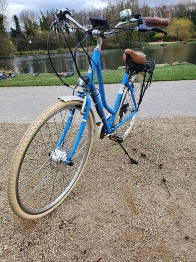 Electric Bike (Step Through)_Pendleton