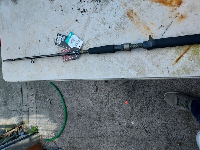 westin  w3 baitcaster