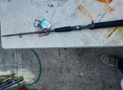 westin  w3 baitcaster
