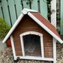 dog Image 2