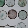 Selection of 22 Antique Pocket Dials Image 5
