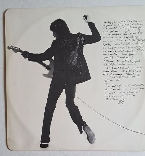 Cliff Richard - Rock 'N' Roll Juvenile ('79 Irish Pressing) Vinyl