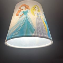 Disney princesses shade