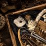 The Extraction Room Oddity Tray No 3 Collection Image 4