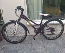 Trek 7-Speed 24" Precaliber kids bike