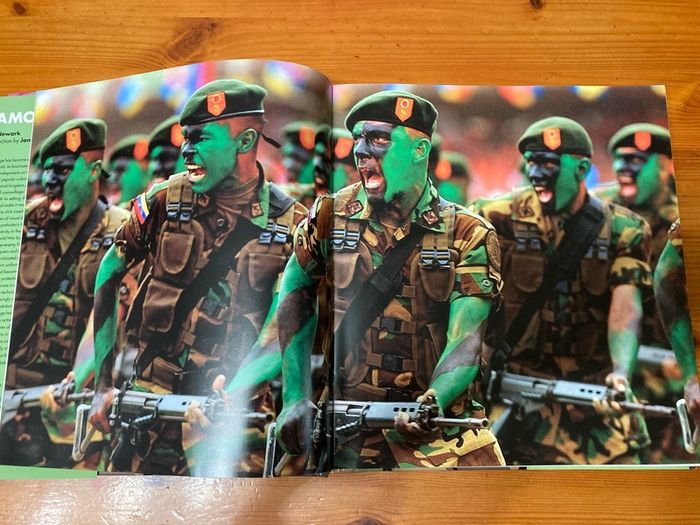 'Camouflage' by Tim Newark
