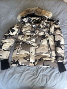 canada goose