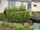 Garden services Image 2