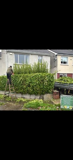 Garden services