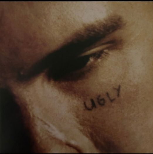 Slowthai UGLY lp