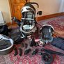 iCandy All Terrain (buggy - includes car seat) Image 9