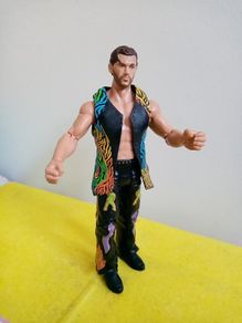 WWE Wrestlers Wrestler Action Figure