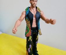 WWE Wrestlers Wrestler Action Figure
