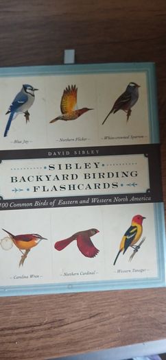 Ornithology