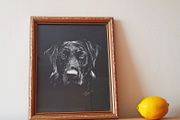 Black Labrador Retriever  R. Russell dog art print in a wooden gold glazed frame 1979 size 23x28cm