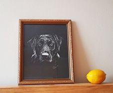 Black Labrador Retriever  R. Russell dog art print in a wooden gold glazed frame 1979 size 23x28cm
