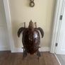 Antique Rare Large Taxidermy Hawksbill Sea Turtle Image 8