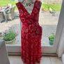Jenny D Red Dress Image 3