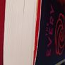 Dave Eggers / The Every /2021 Image 3