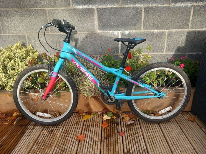 20" Bike