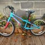 20" Bike Image 2