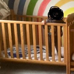Drop site cot