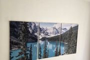 3 canvas 46x66cm each