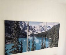 3 canvas 46x66cm each