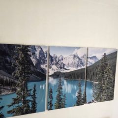 3 canvas 46x66cm each