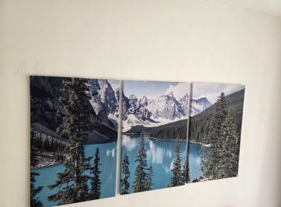 3 canvas 46x66cm each