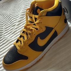 Nike Dunk High