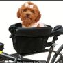 Bike Dog Seat Image 2