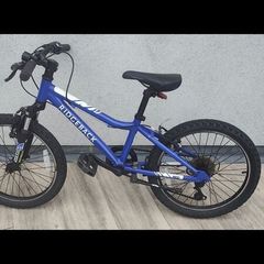 Bikes; Children and Teen / Adult (14, 20 inch)