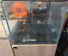 150l aquarium