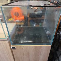 150l aquarium