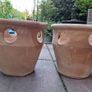 Pot Image 3