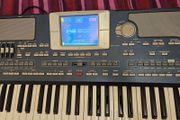 Korg PA 800 Arranger Piano Keyboard