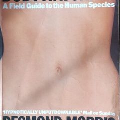 Bodywatching, a Field Guide to the Human Species - Desmond Morris