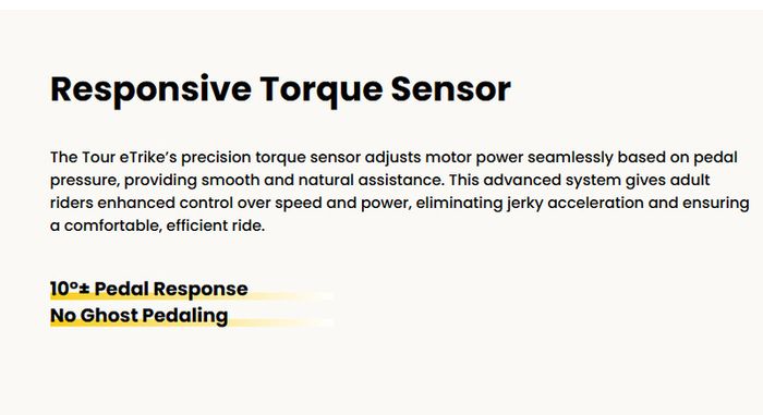 Amazing Meetone Trike 40 kmph | 2 x750 watts dual motors | 200km range, dual batteries | Nearly 1/2 price