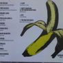 The Velvets Revolution, 15 Bands Inspired By The Velvet Underground (Uncut) CD (Thee Oh Sees, Suicide, Espers, Loop, etc.) Image 2