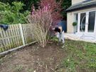 Garden services Image 2