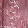 Pink Satin Lace Up Corset Top Image 4