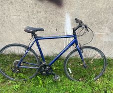 Trek bike 22.5 inch