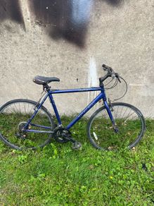 Trek bike