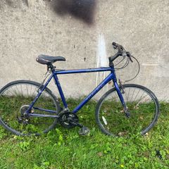 Trek bike