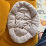 Nuna LEAF Grow Bouncer / Rocker Image 3