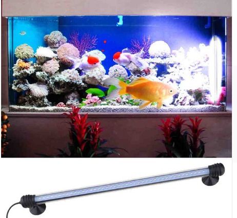 Fish Tank Light