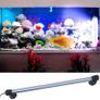 Fish Tank Light Image 7